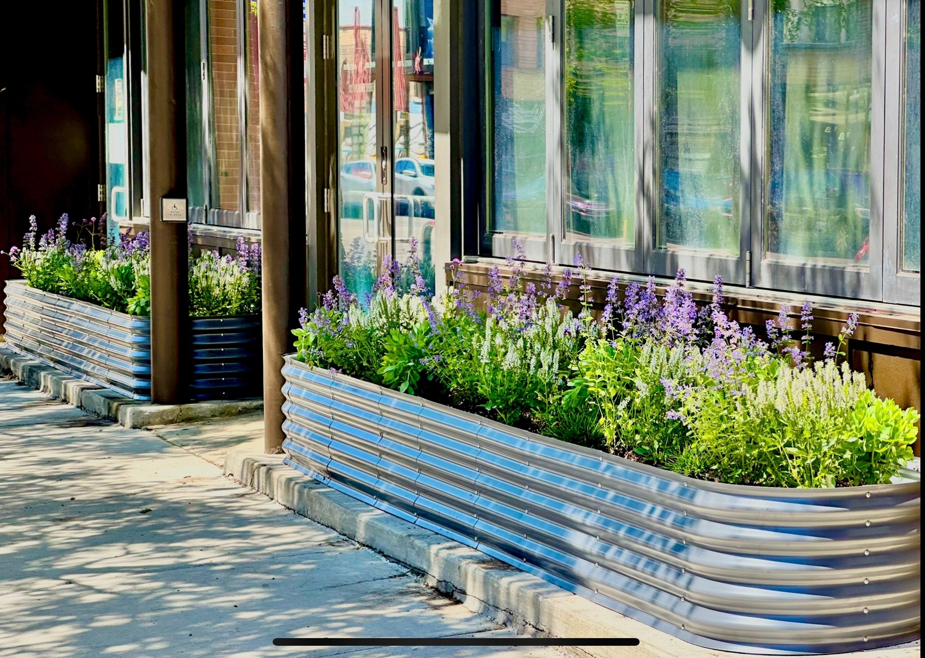 Annual Planters at Revolution Brewery by Sprout-home with a native plant selection for texture. 
