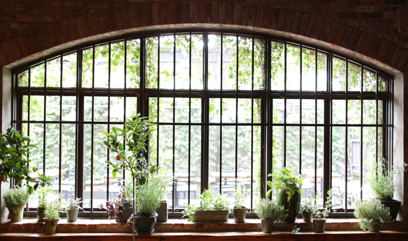 Aurora Restaurant window with various herb and veggie plantings by Sprout Hoe.