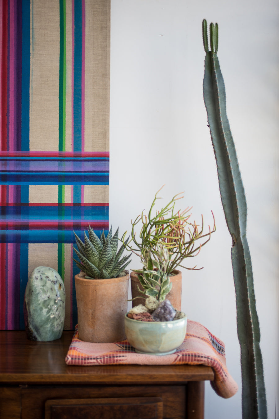 A set of succulent plantings on a wood credenza with a linear minimalist painting behind them by Sprout-home