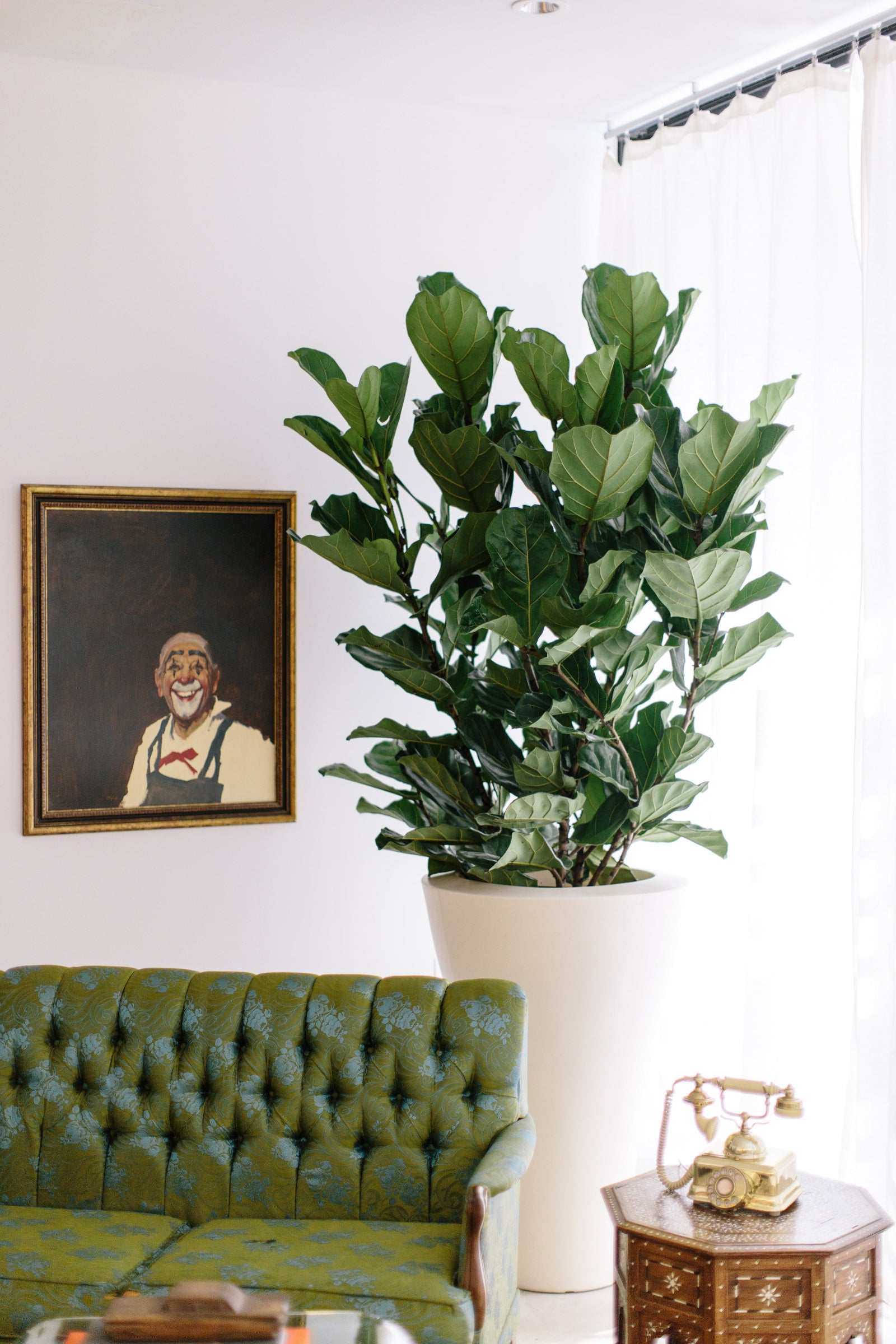 Fiddle leaf ficus plant inside of a white container by Sprout-home sitting in a clients home next to a clown painting. 