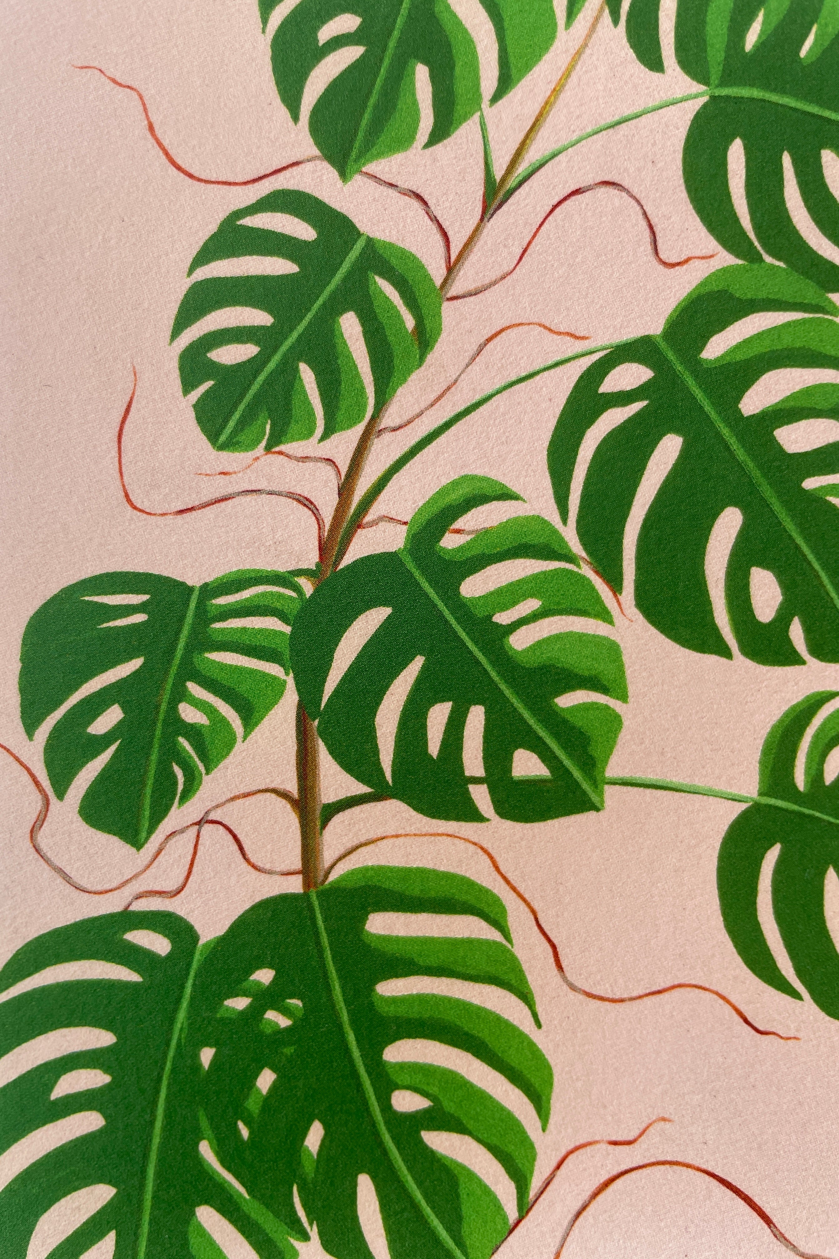 Monstera Greeting Card