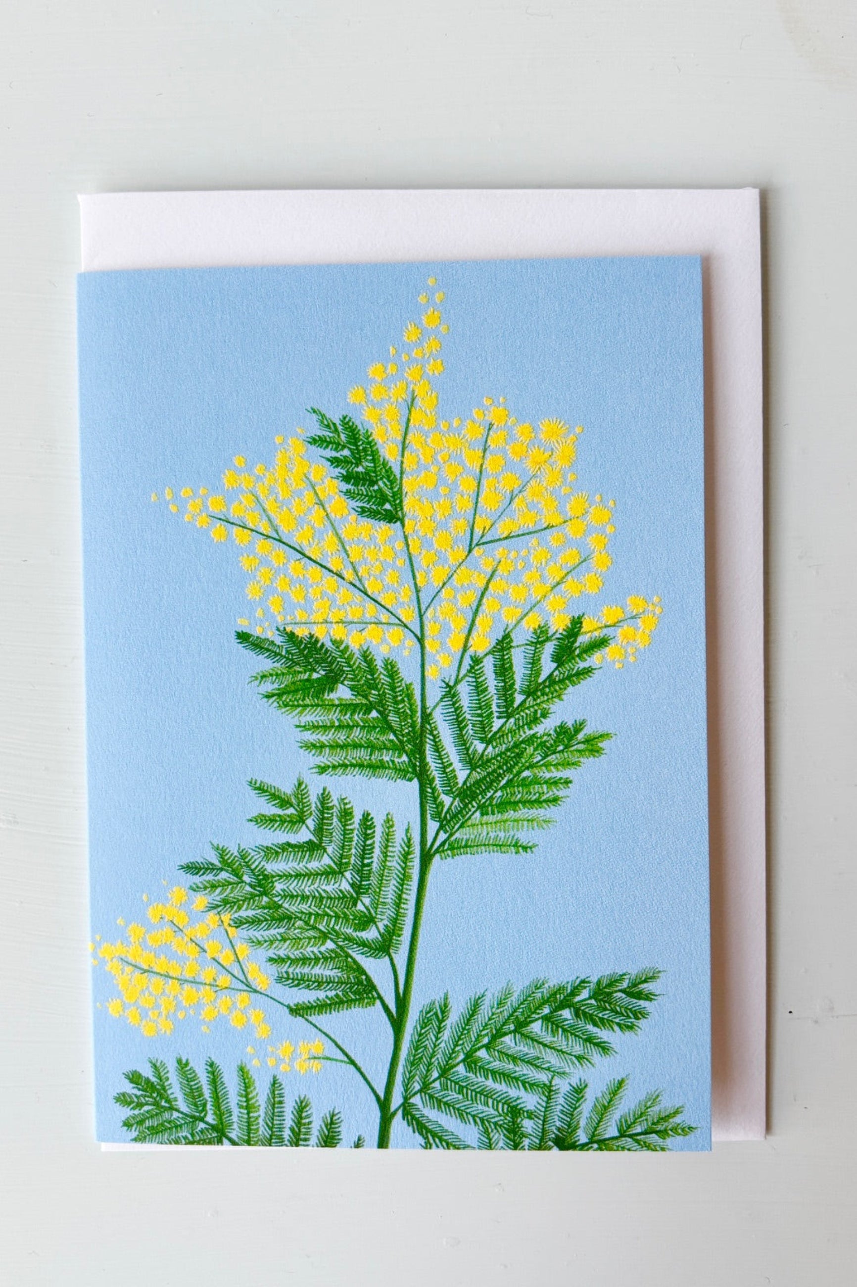 Greeting card with yellow mimosa flower against a blue background shown with envelope ©Sprout Home