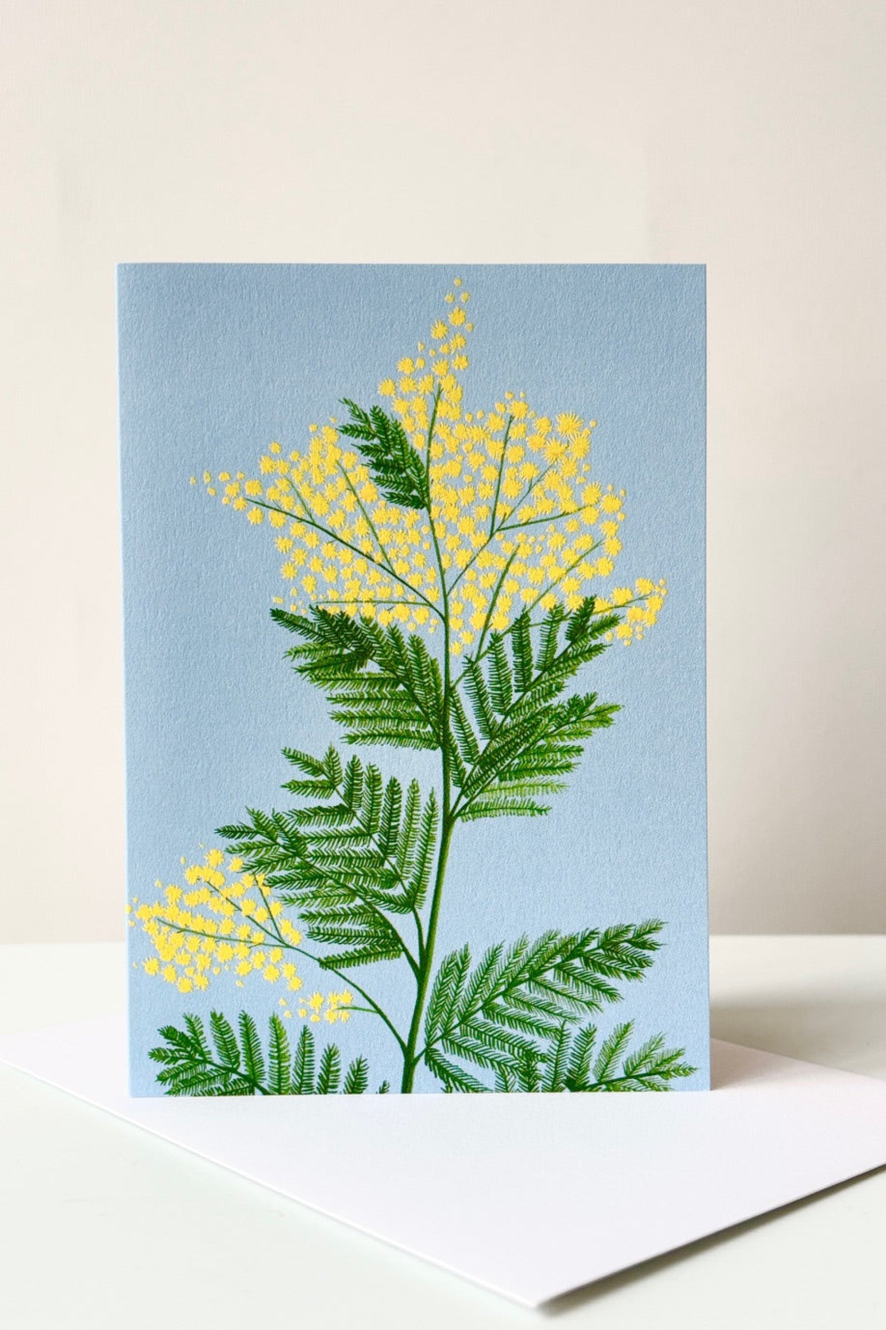 Greeting card with yellow mimosa flower against a blue background shown with envelope ©Sprout Home