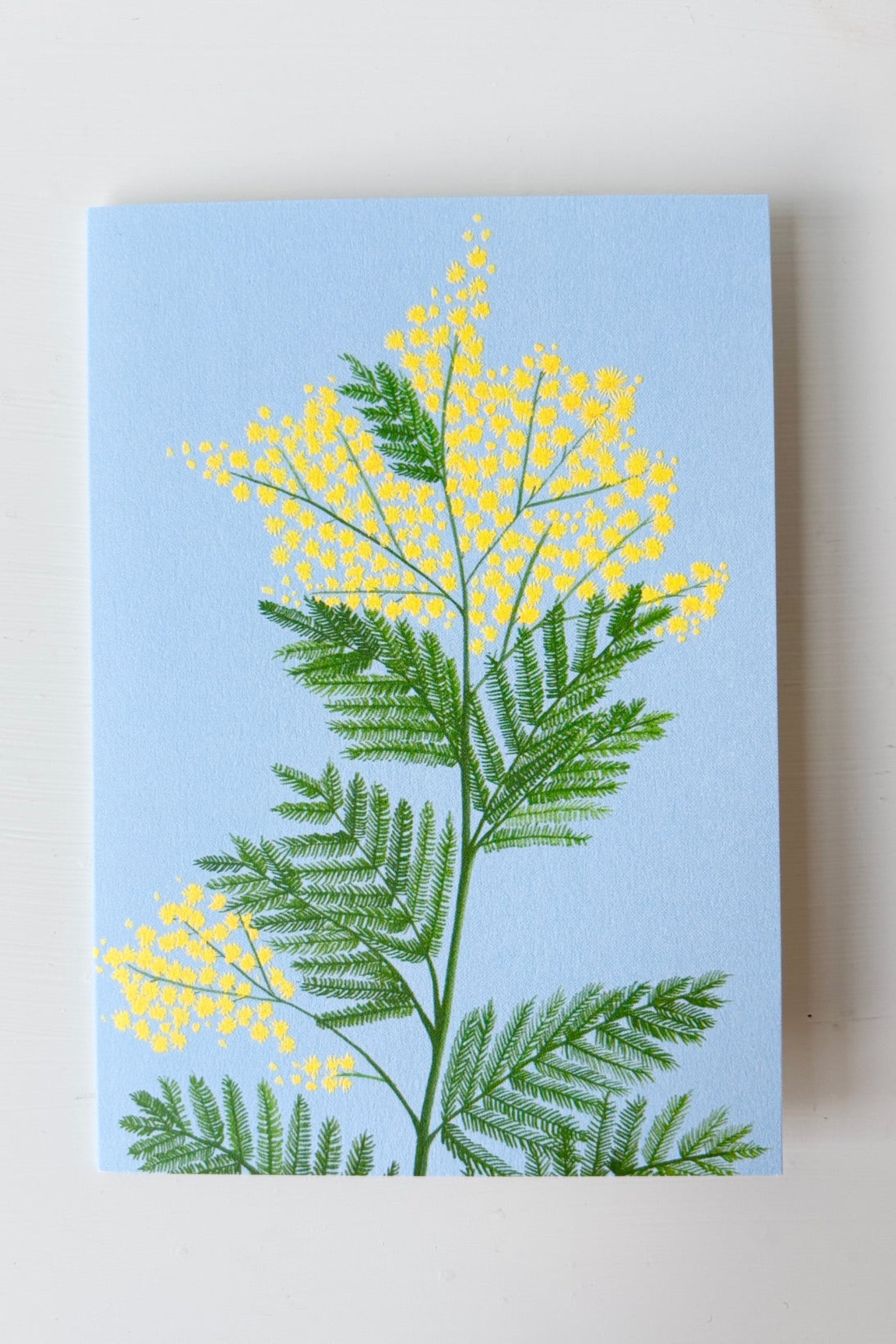 Greeting card with yellow mimosa flower against a blue background ©Sprout Home
