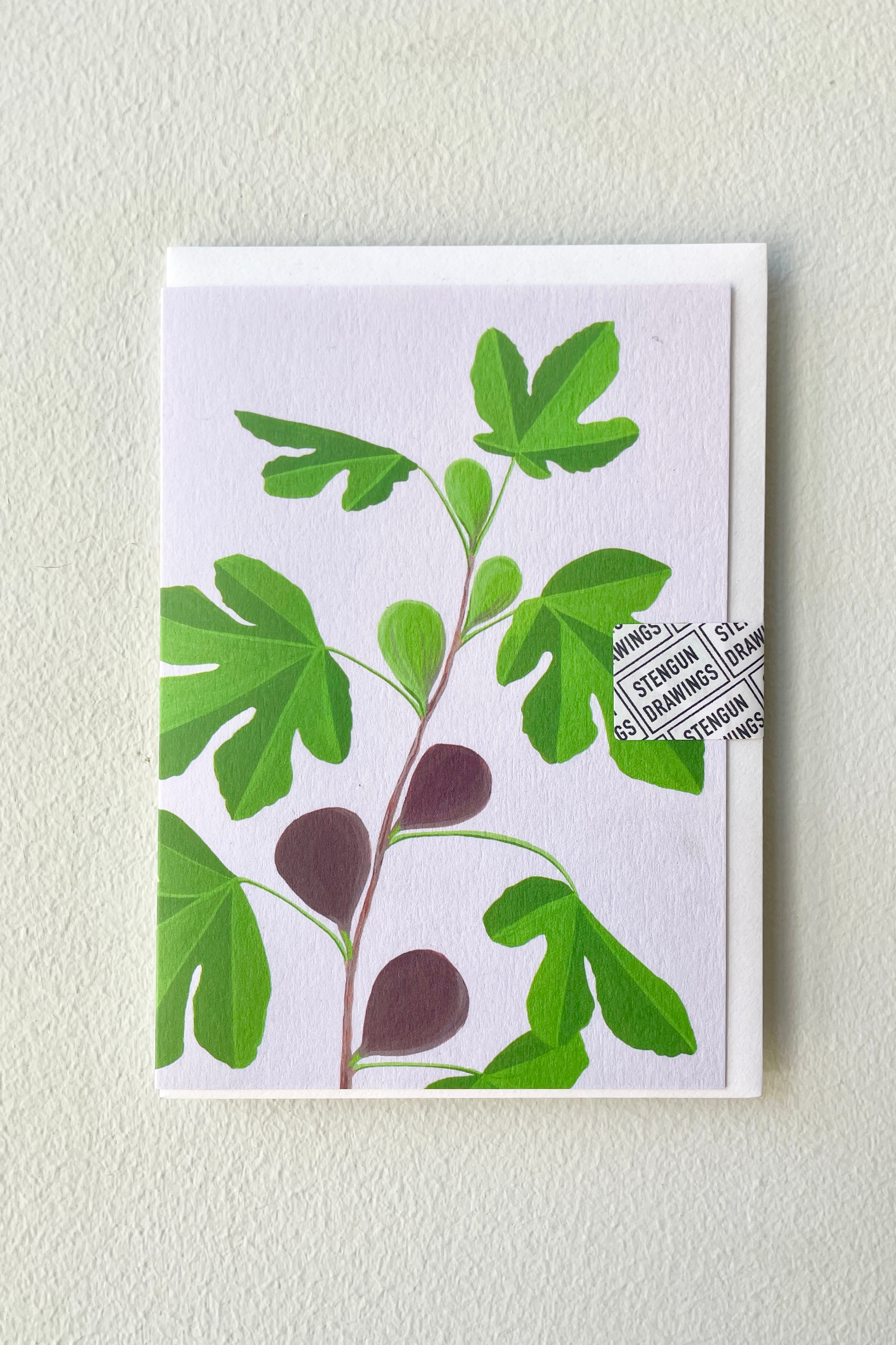 The Stengun Fig greeting card on a white wall at Sprout-home. 