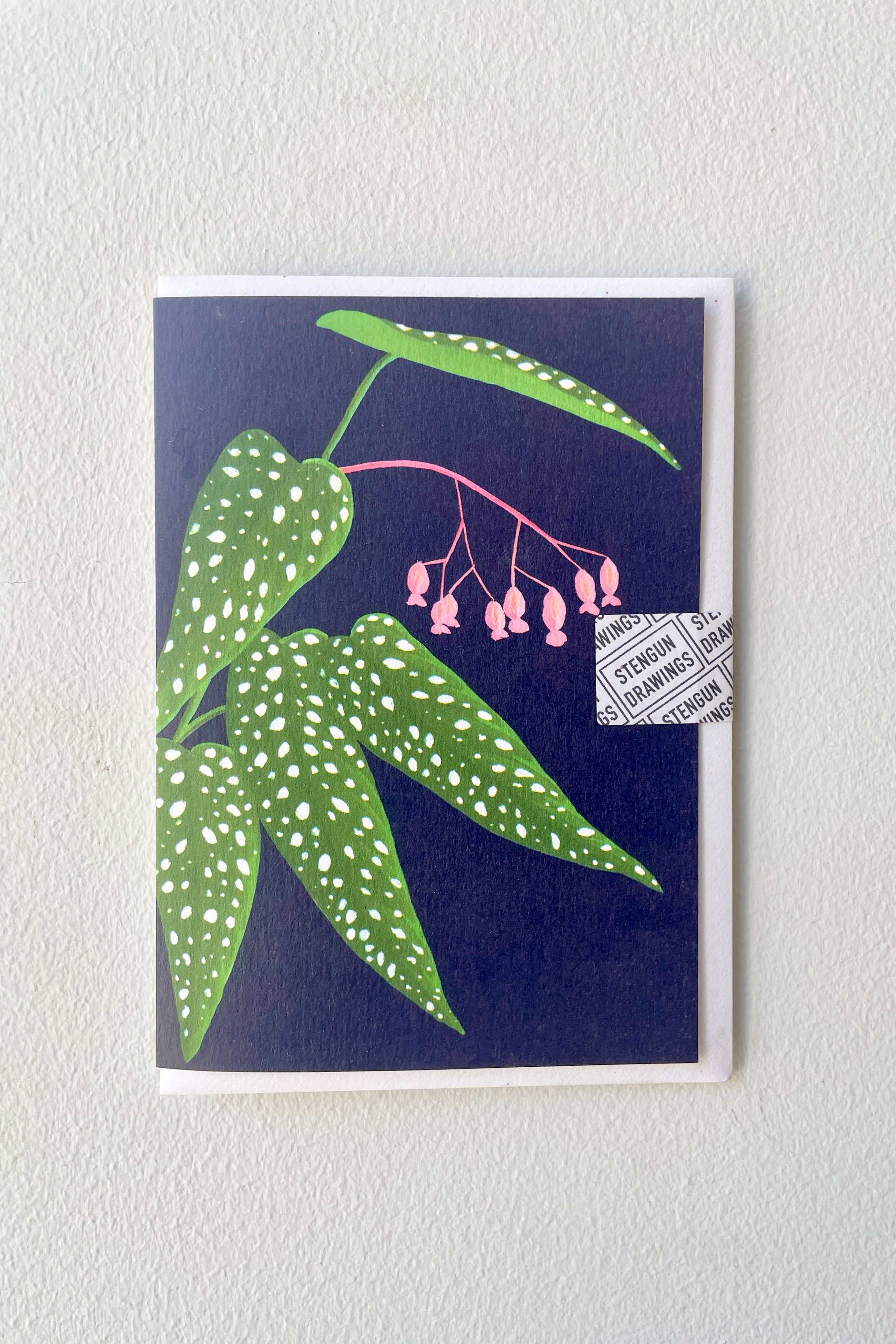 The Stengun begonia greeting card against a white wall. 
