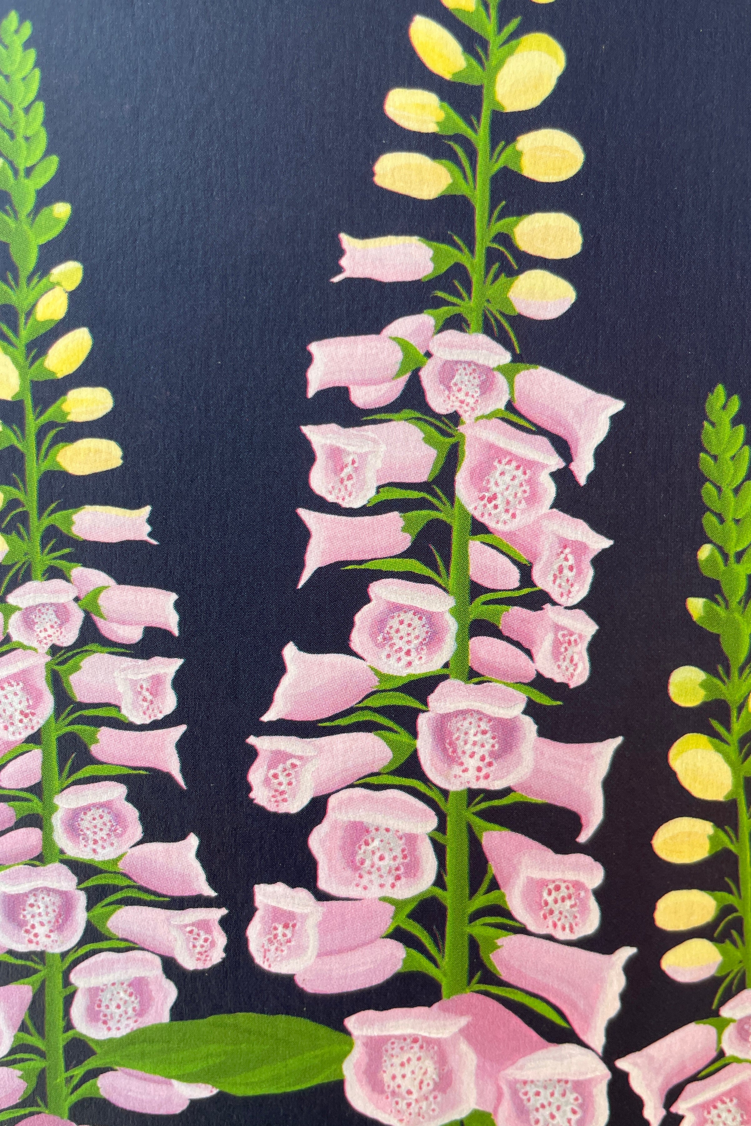 an up close picture of the detail on the purple foxglove greeting card from Stengun