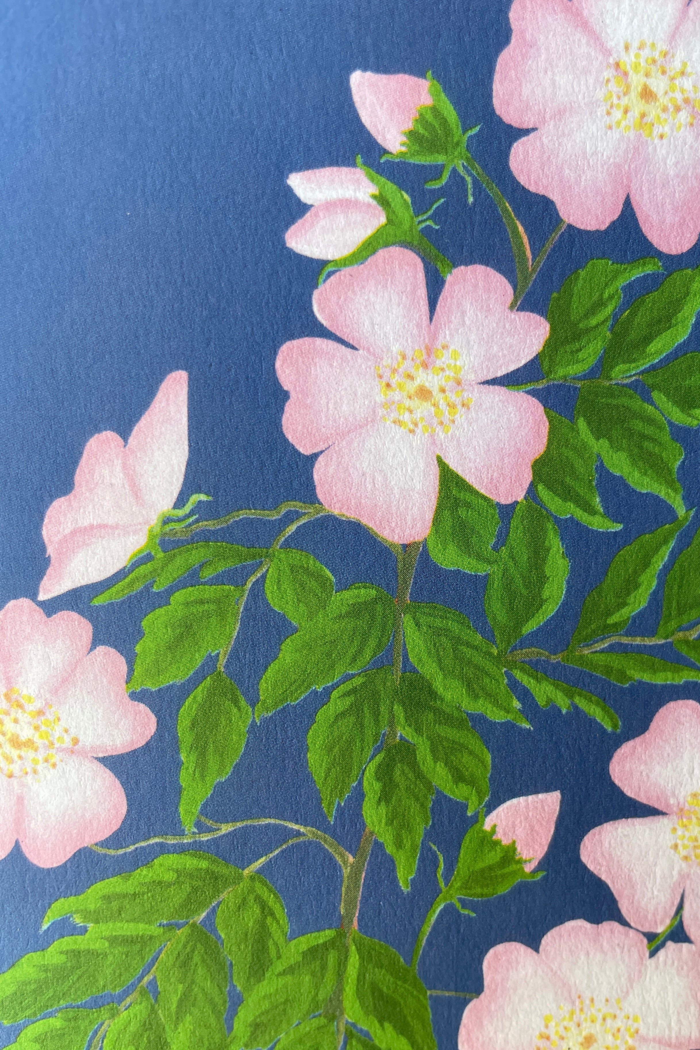 Detail image of the Dog Rose card by Stengun at Sprout-home with the delicate pink flowers and green leaves. 