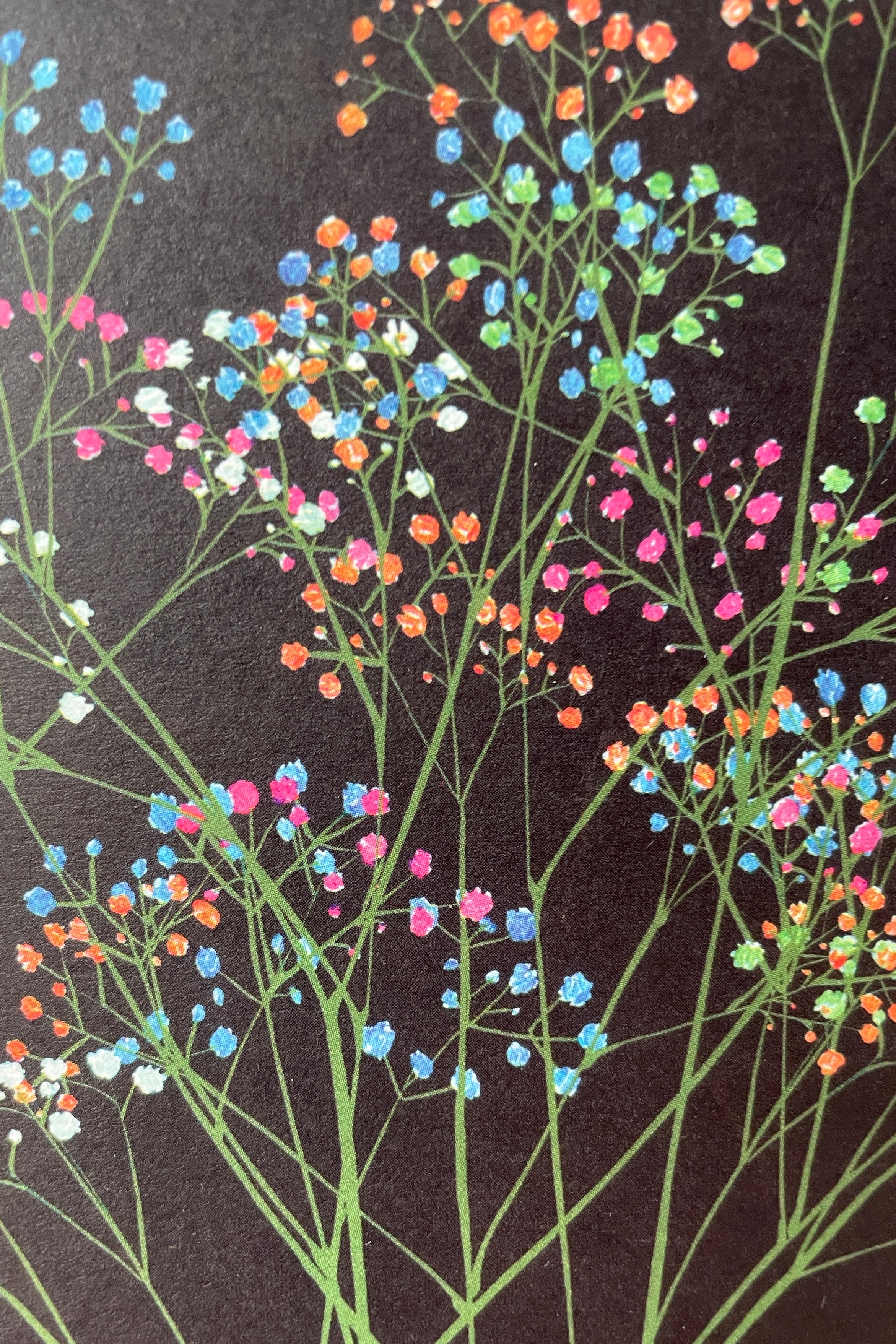 Detail of the STengun Rainbow Gypsophila greeting card at Sprout-home. 