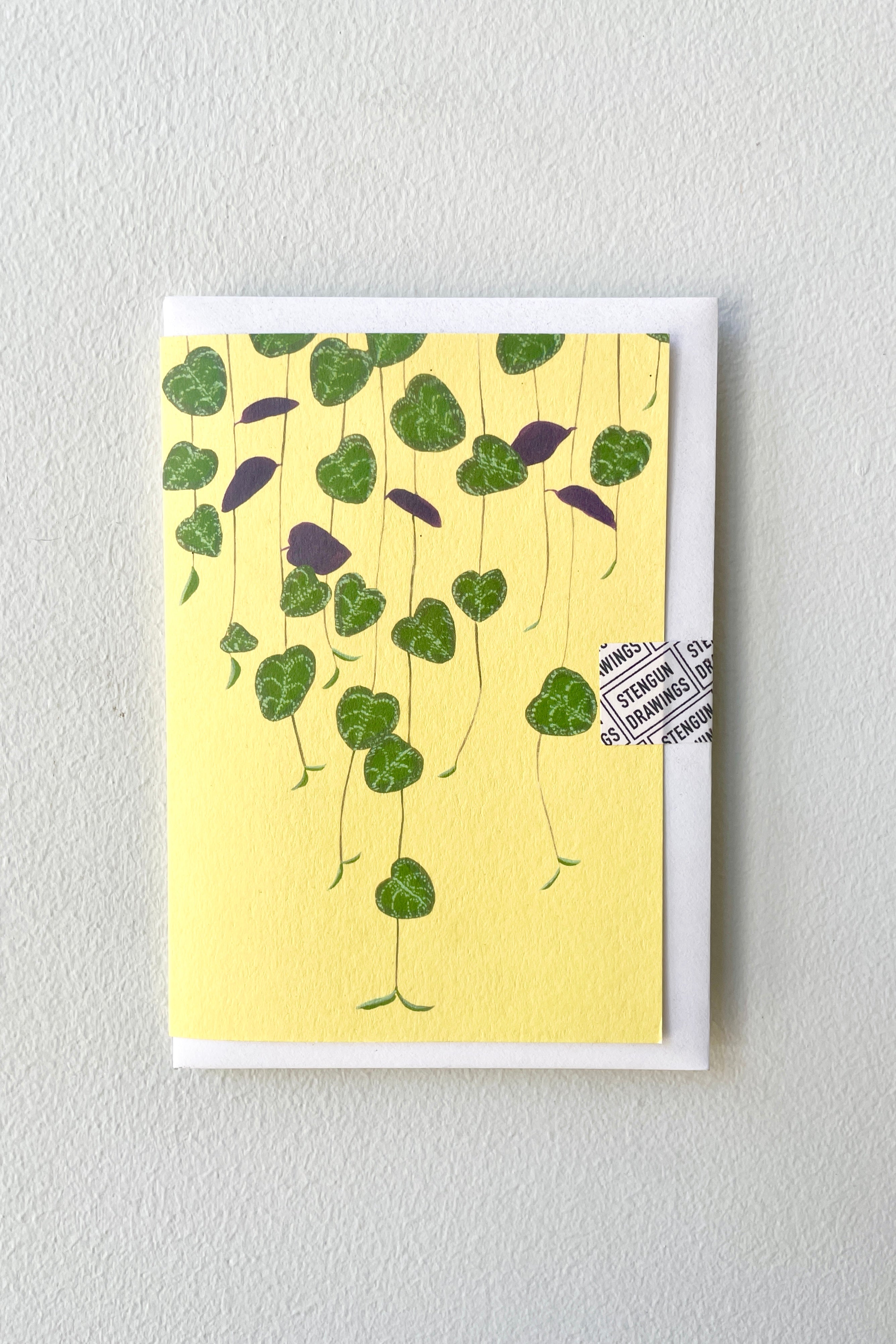 The Stengun Ceropegia greeting card against a white wall. 