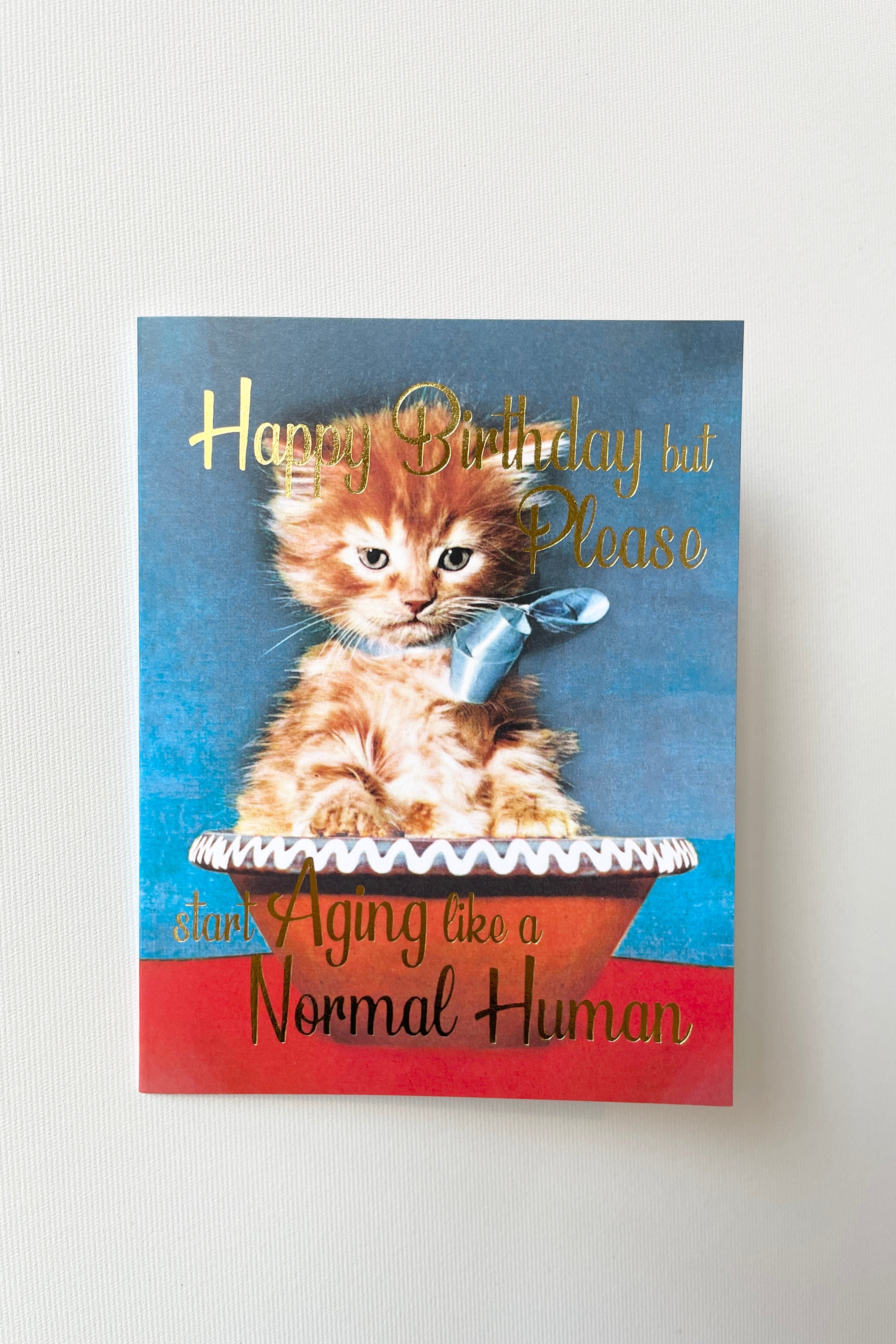 The Normal card by Smitten Kitten showing the front of the card with a kitten in a bowl.