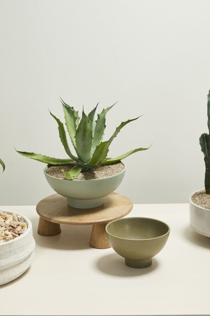 Potted plant in a Beltline Bowl seafoam on a wooden stand with bowls on a light surface ©Accent Decor