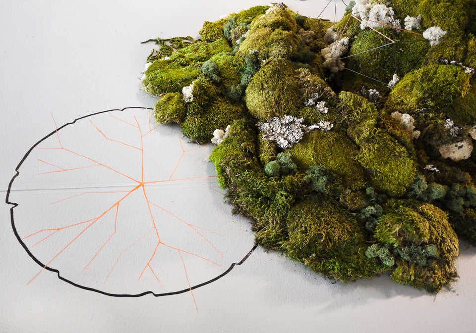 Preserved moss installation at Art Expo Chicago by Sprout-home