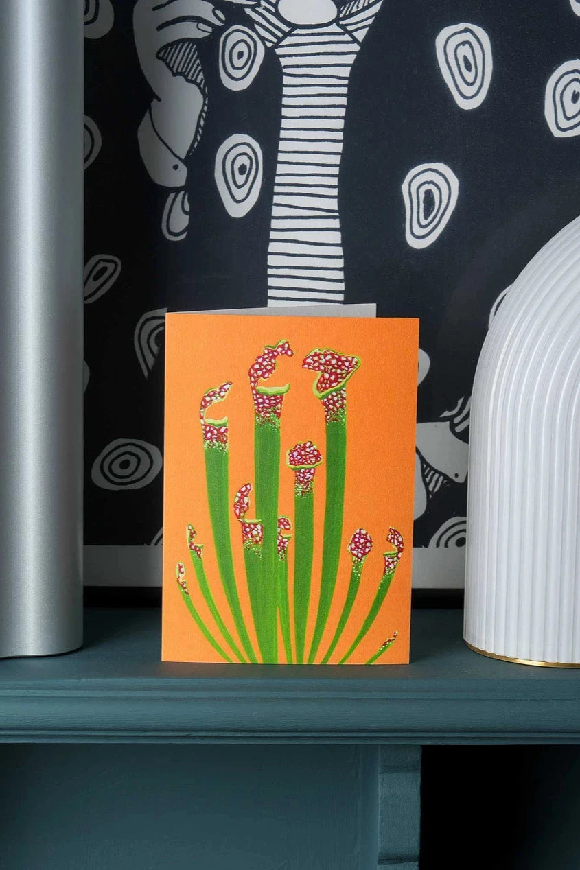 Pitcher plant greeting card by Stengun Drawings  in a lifestyle shot
