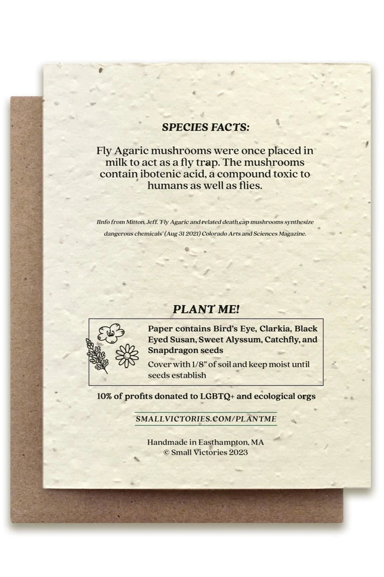 Fly Agaric seeded card showing the back of the card with the ingredients.
