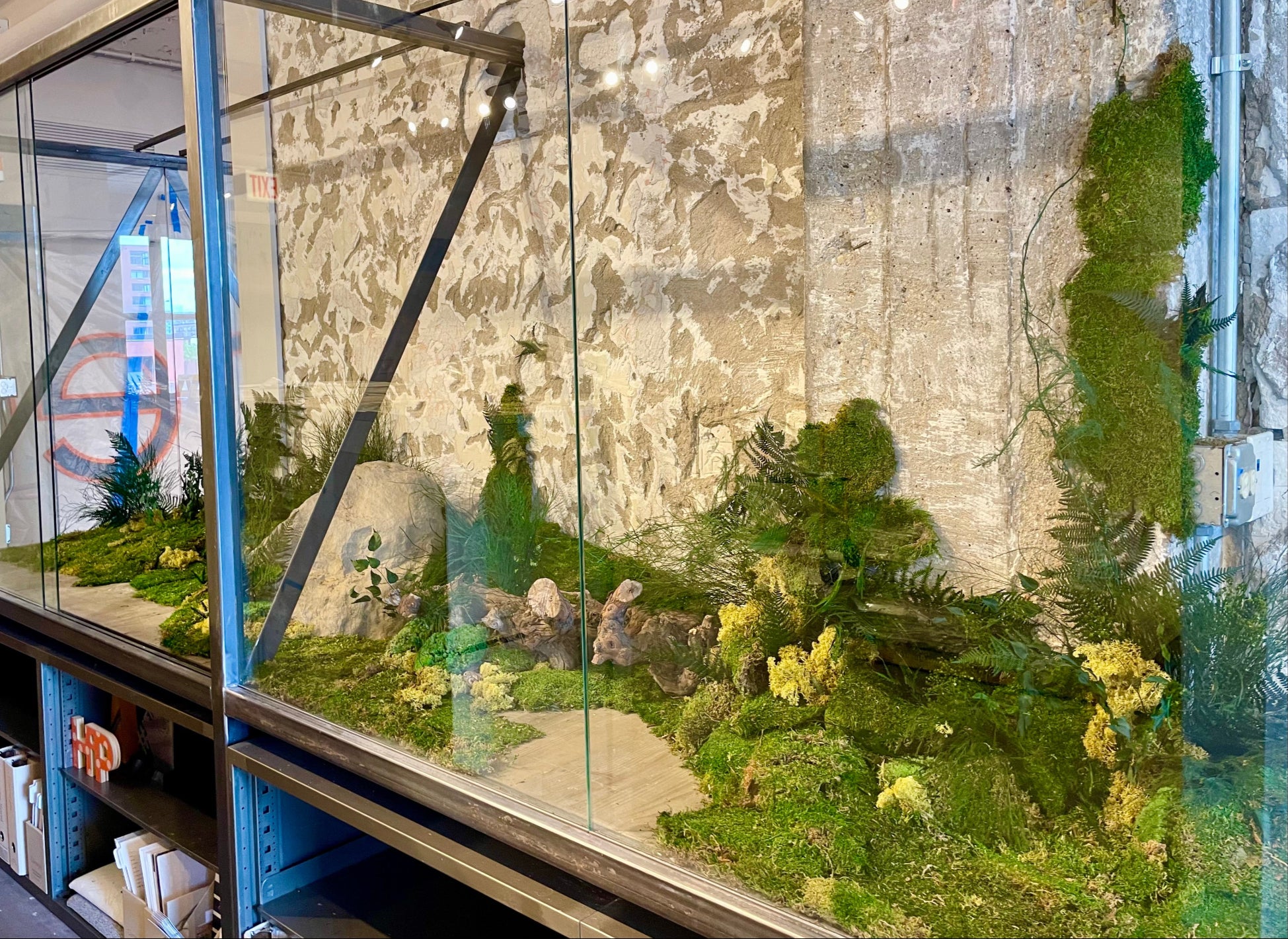 Installation of preserved floral and moss by Sprout-home at Carnegie Fabric showroom in Chicago. Photo by Sprout-home.