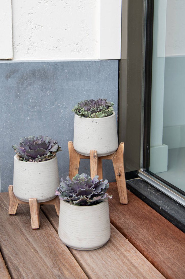 various Patt pots by Pottery Pots in washed Grey and planted.