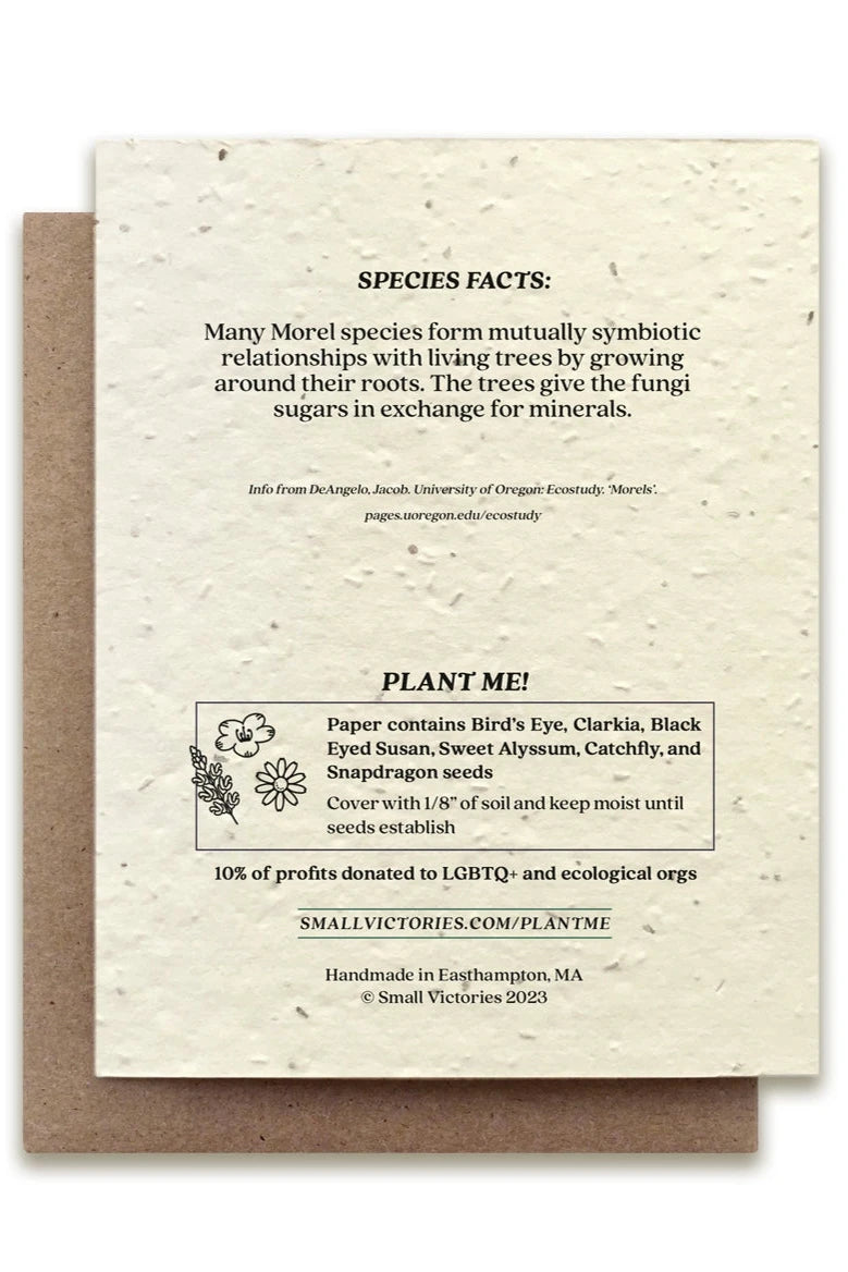 Morel Mushroom Seeded plantable card showing the back with the seed ingredients. 