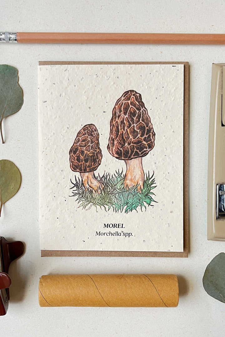 Morel Mushroom Seeded plantable card showing the front of the card laying flat with various desk items surrounding. 
