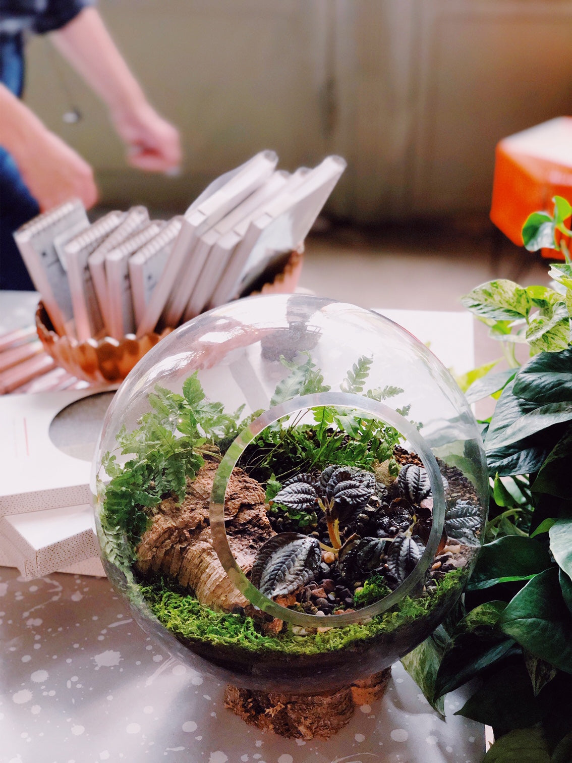Planted terrarium by Sprout-home in a retail space