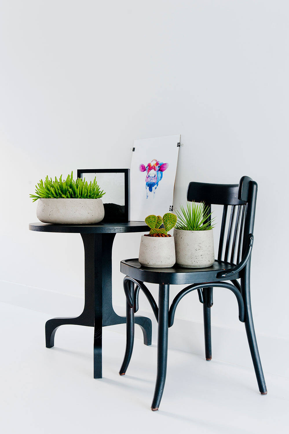 Various Grey Pottery Pots including an Eileen Pot planted with succulents on a black table.