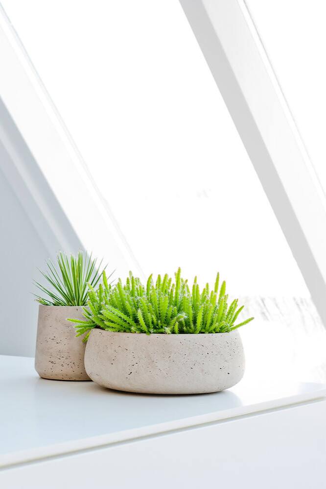 Eileen Grey Washed Pot planted with succulents on a kitchen counter with different pot behind it by Pottery Pots