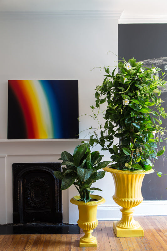 Two yellow urn plantings in front of a black and white fireplace and rainbow painting. 