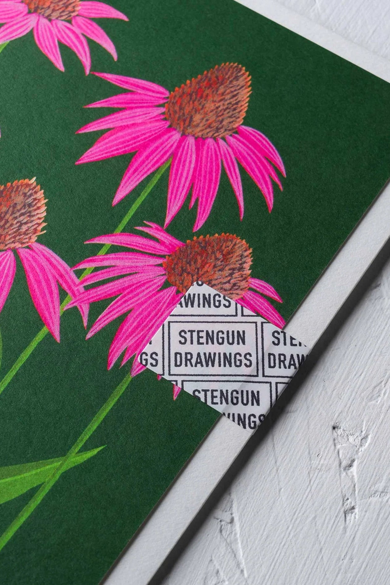 Echinacea Greeting Card corner detail ©Stengun Drawings