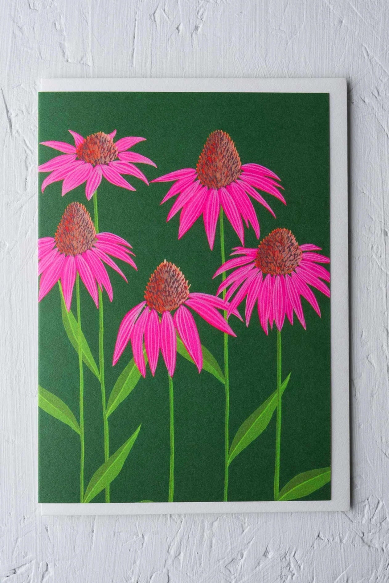Echinacea Greeting Card