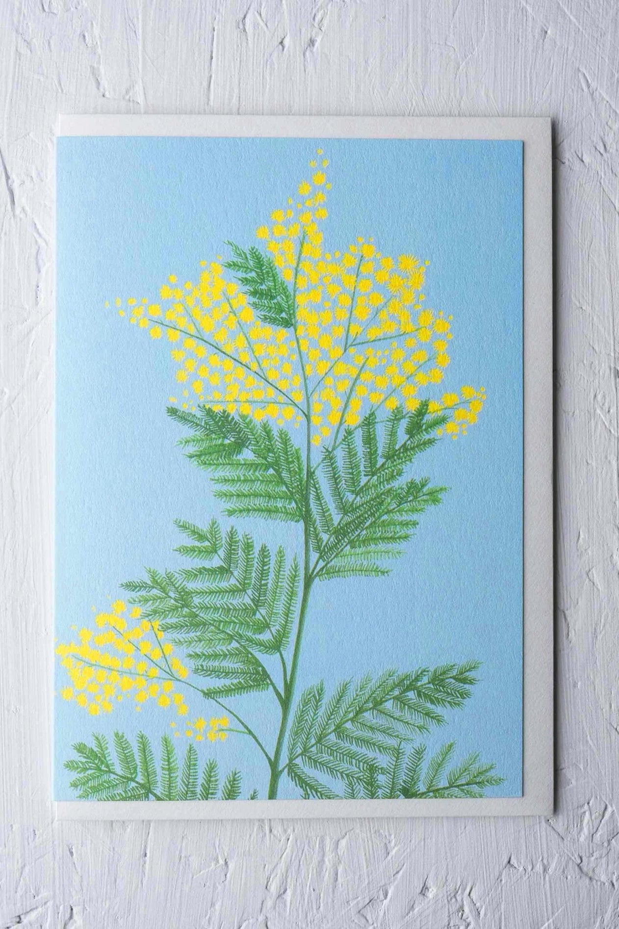 Mimosa Greeting Card ©Stengun Drawings