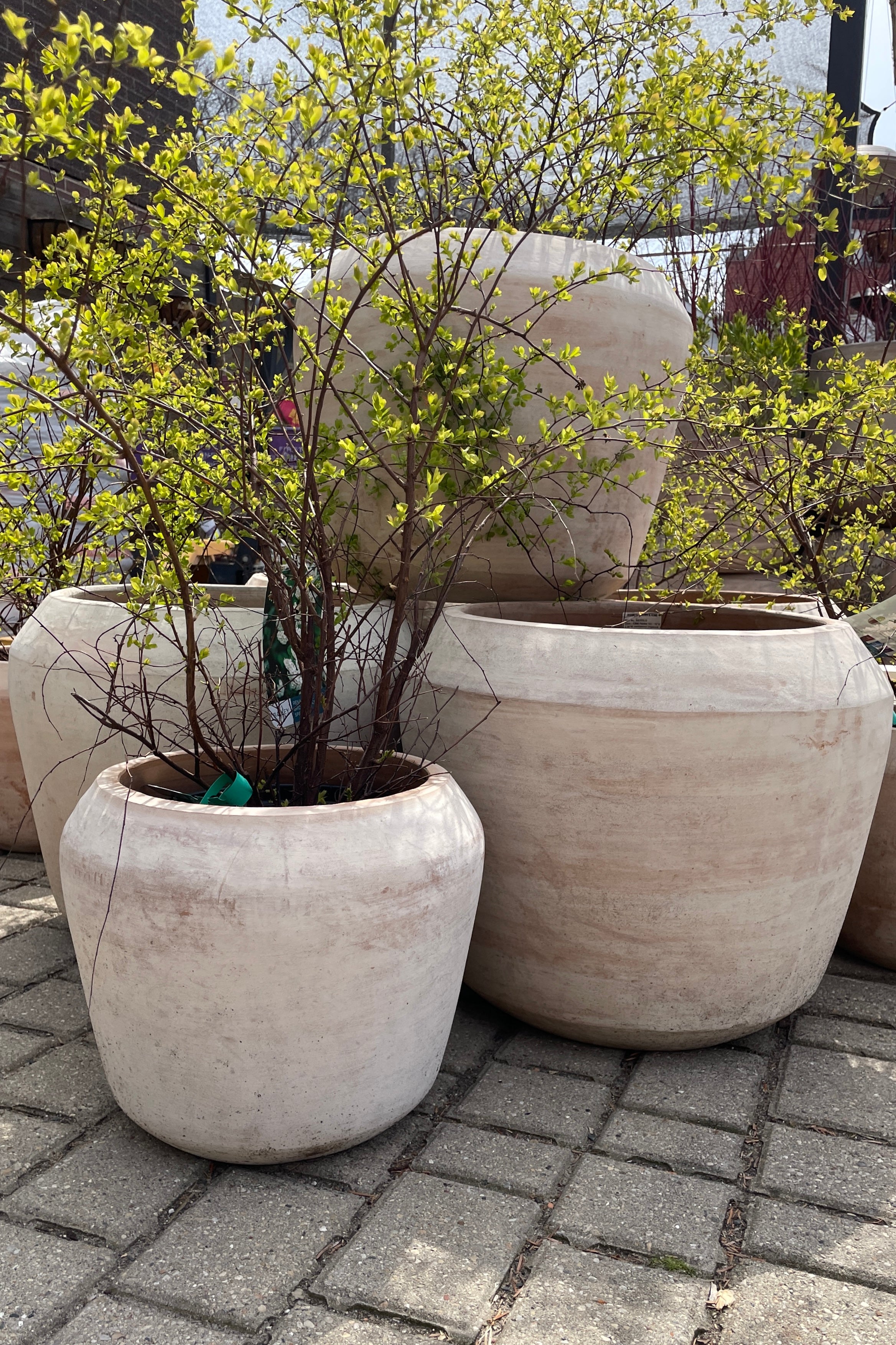 Stacked collection of Cape unglazed planters in the Sprout-home yard. 