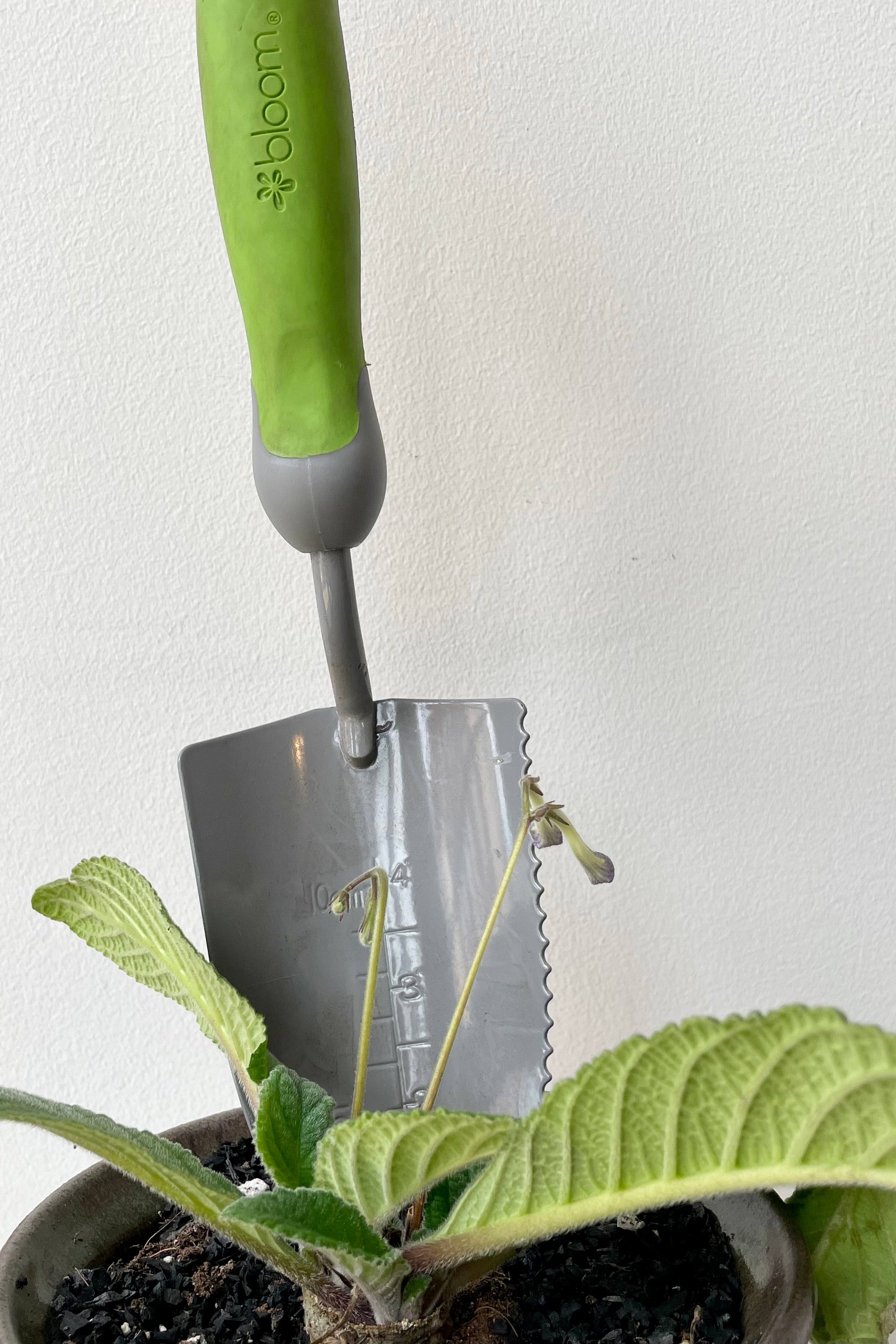 detail of Bloom Serrated Transplanter in green