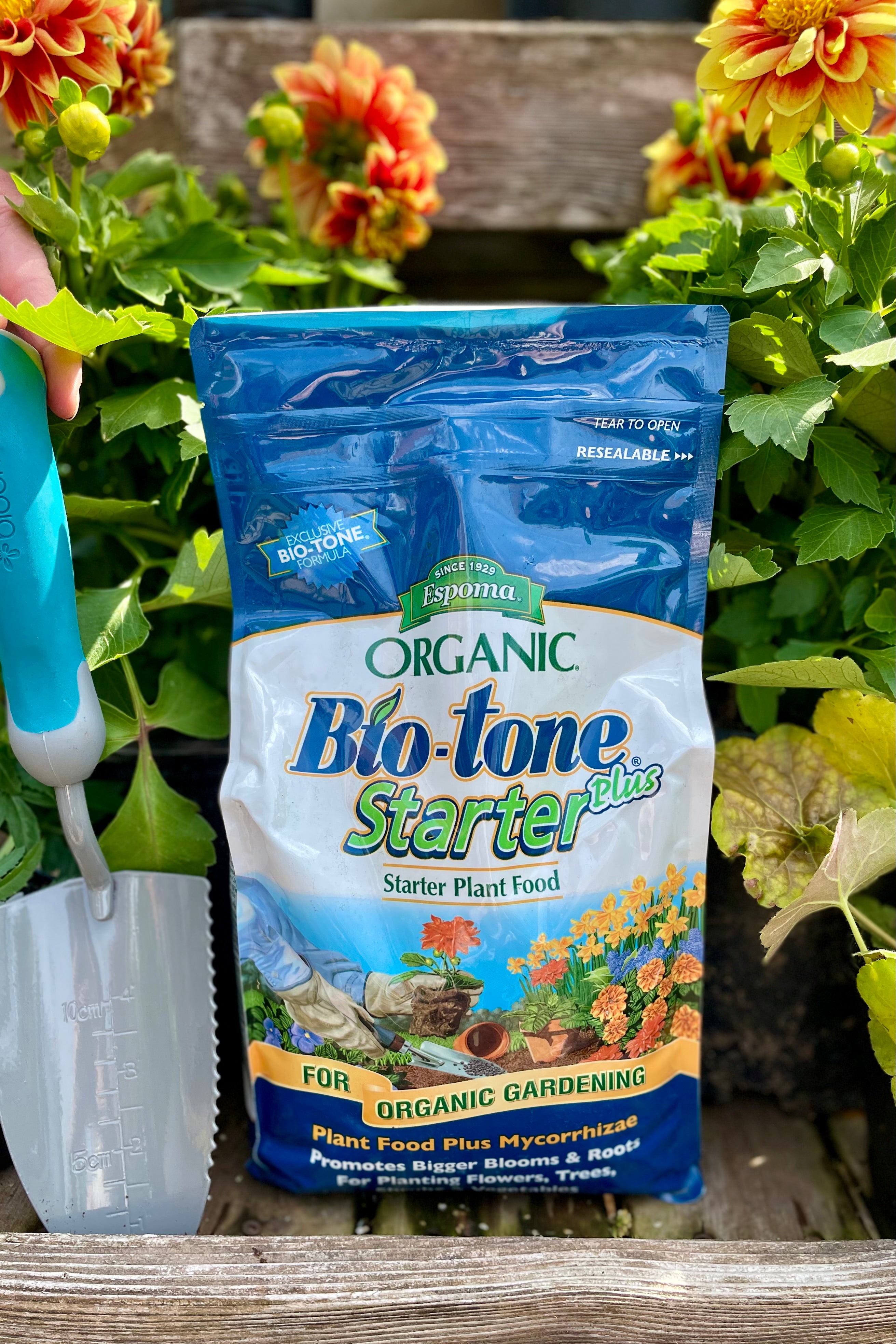 detail of Espoma organic Bio-Tone Starter Plus 4lb with the Sprout-home garden int eh background with flowers and a hand shovel 