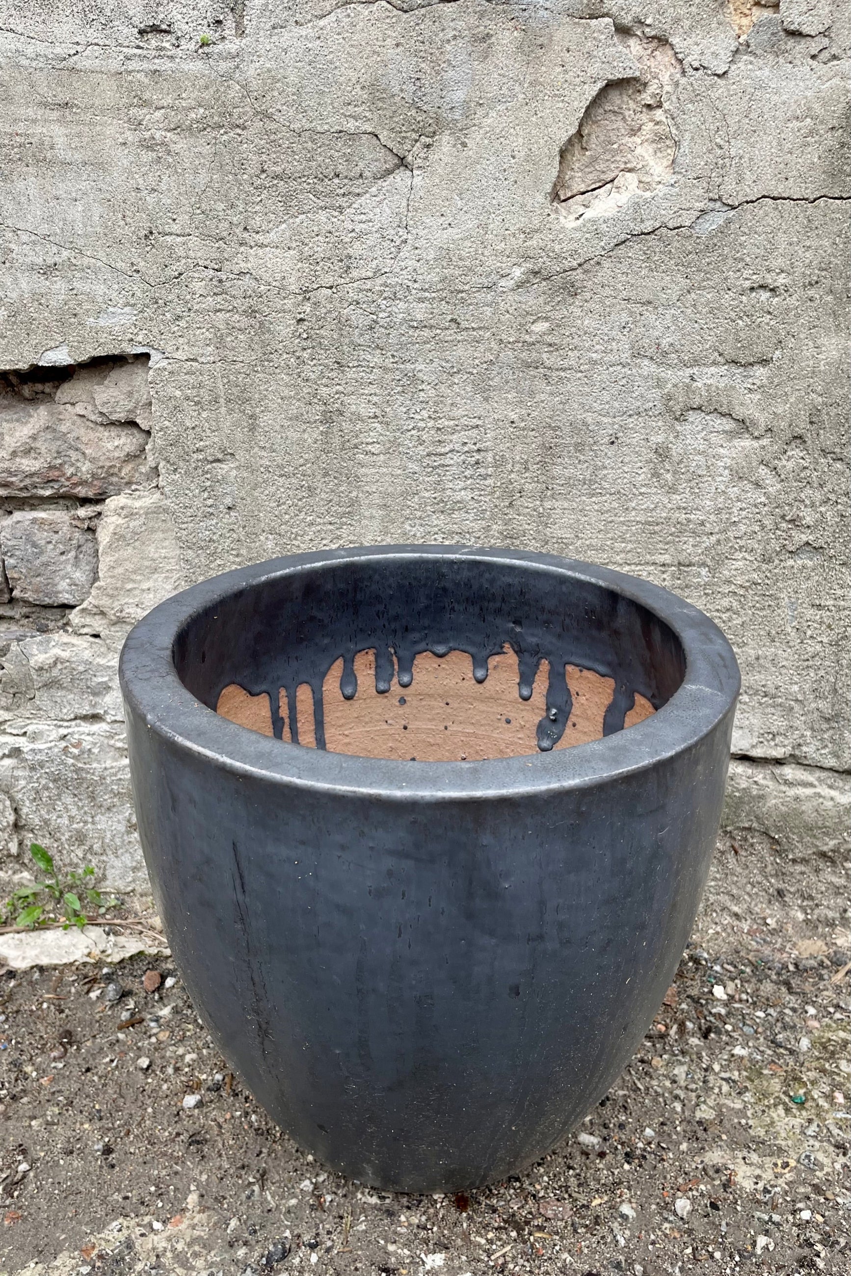 detail of the top of the Egg Ceramic Planter Graphite Medium against a grey wall