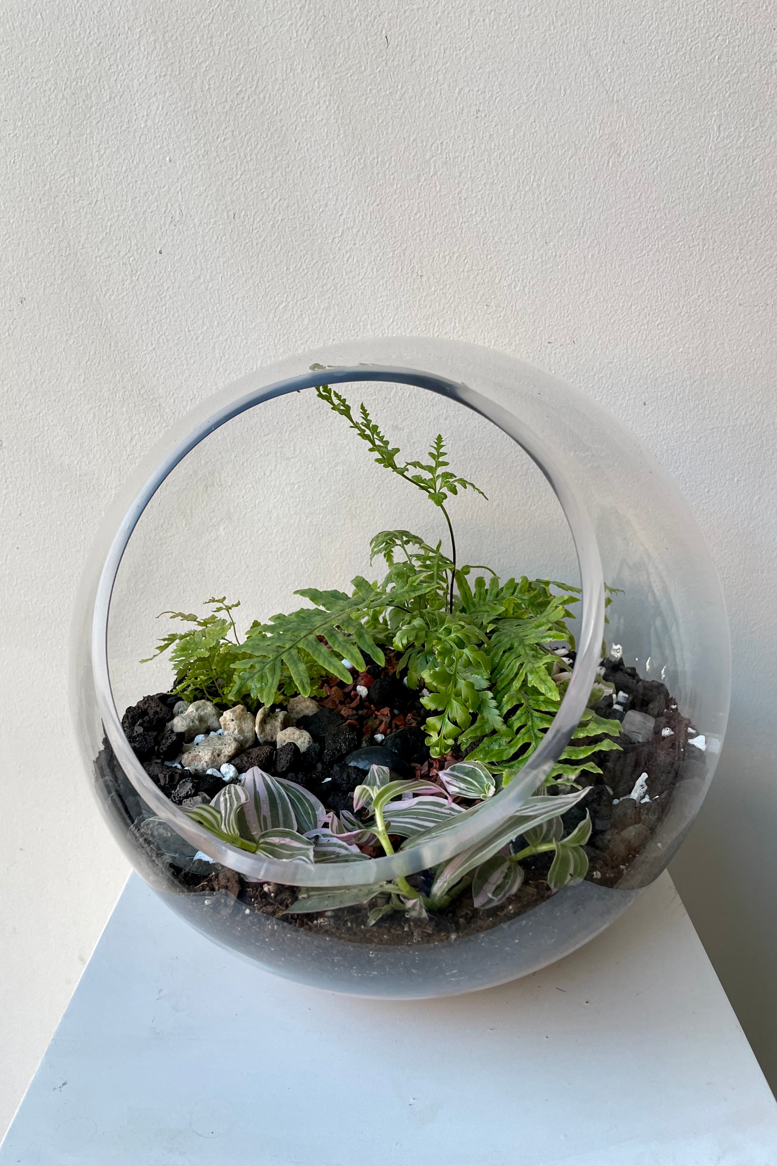 Foliage Hurricane terrarium by Sprout-home. #style_foliage