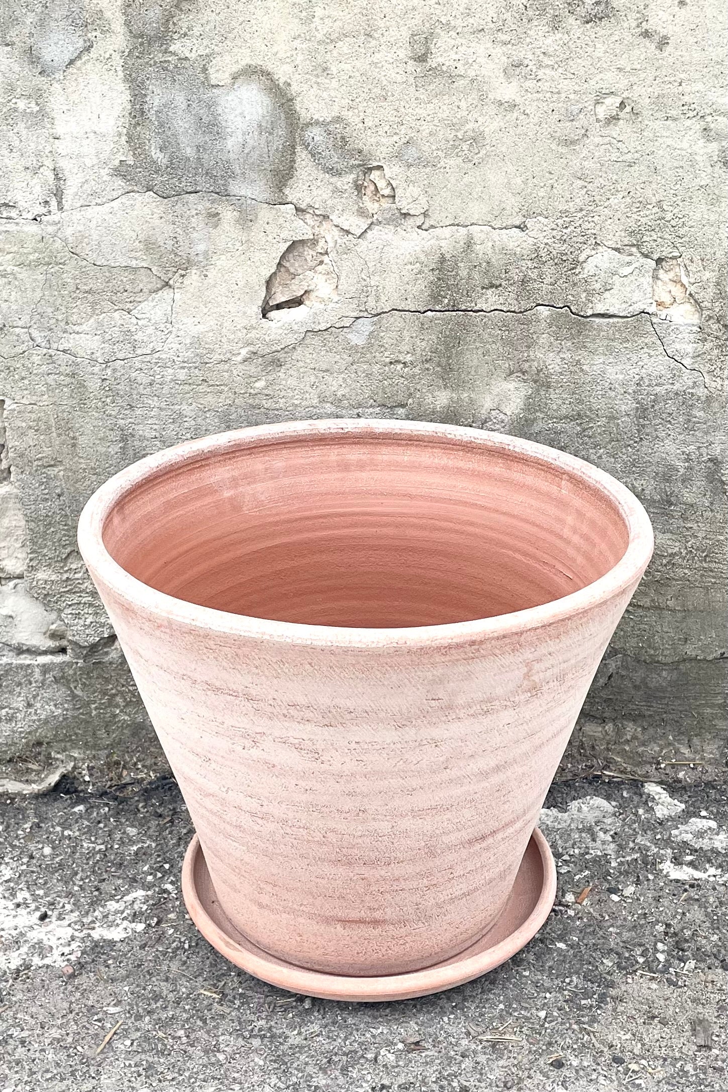 A slight overhead view of Julie Pot & Saucer rosa 17.7" against concrete backdrop