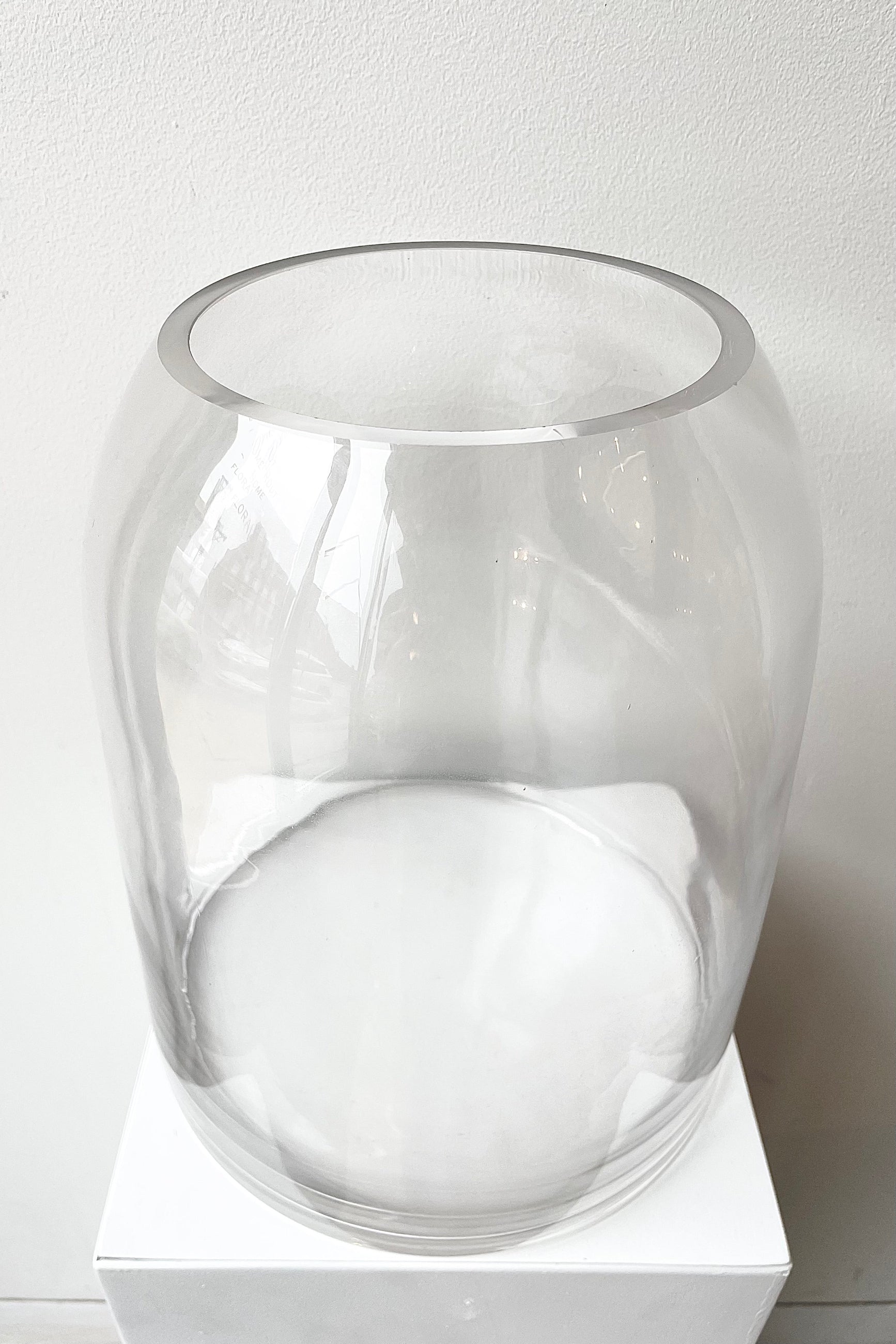 Glass Dome Terrarium Tall detail of opening on top against a white wall